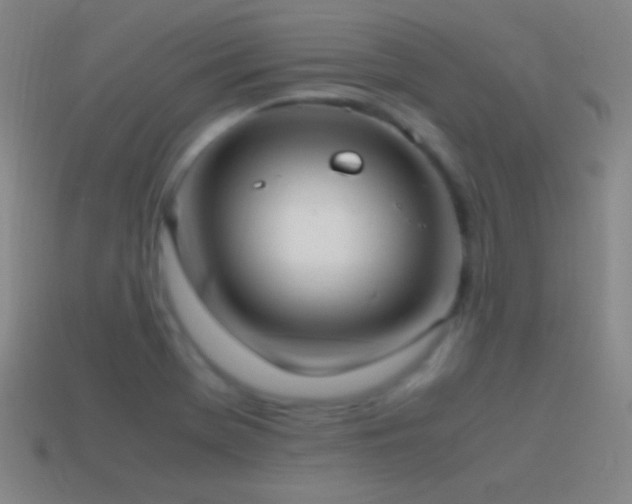 X0000115581369200911101139