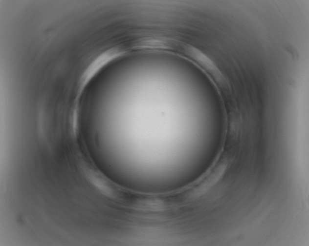 X0000115581370200911101139