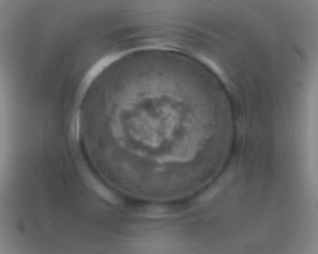 X0000115581371200911101139