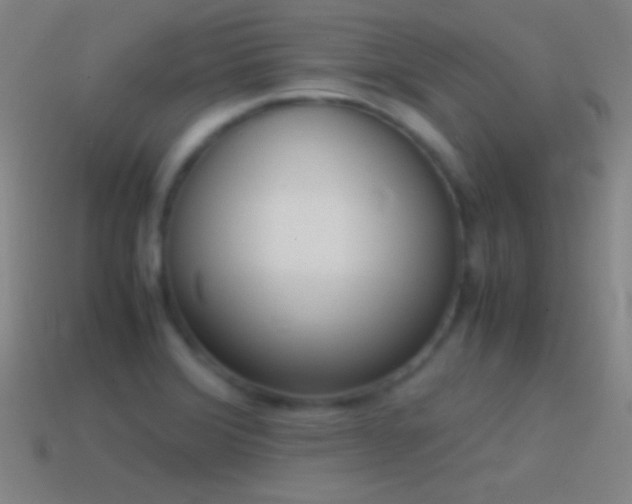 X0000115581372200911101139