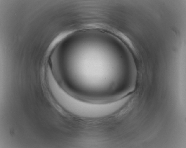 X0000115581373200911101139