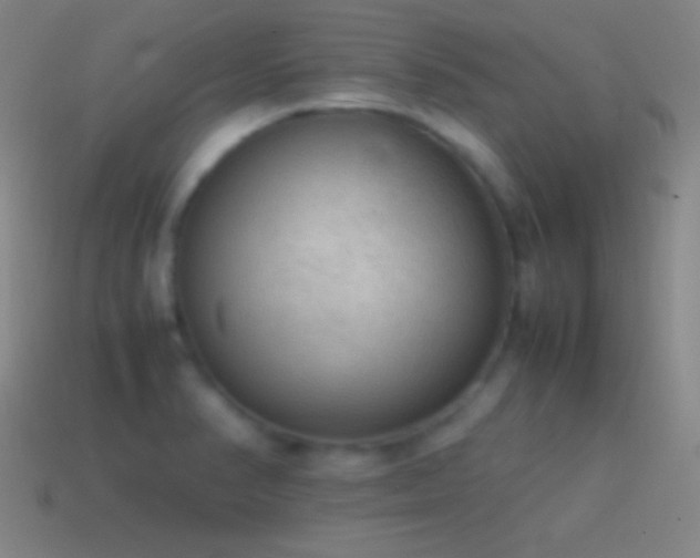 X0000115581374200911101139