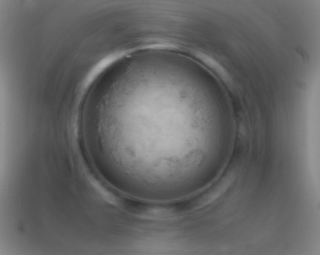 X0000115581375200911101139