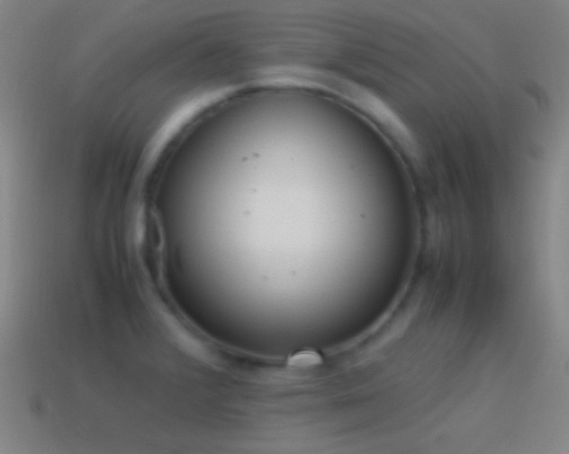 X0000115581376200911101139