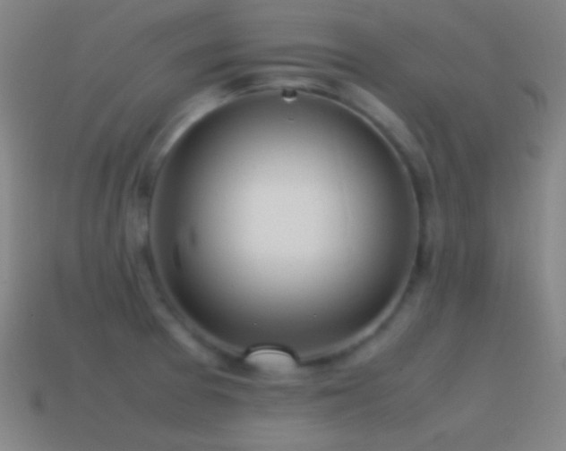 X0000115581377200911101139