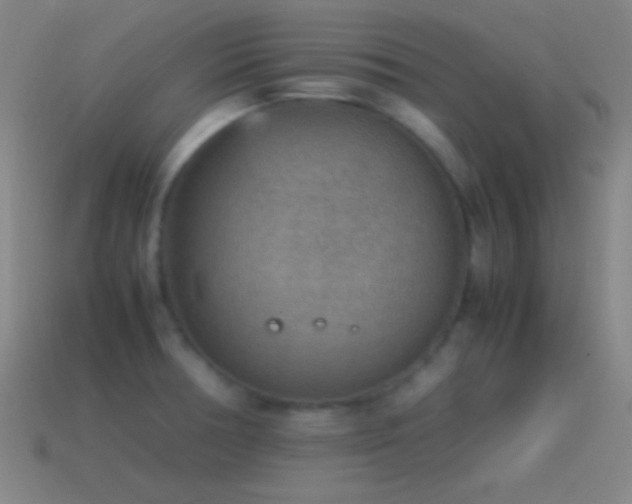 X0000115581378200911101139