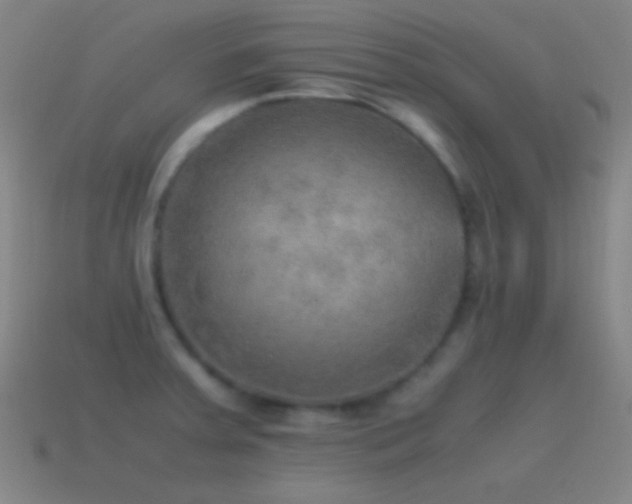 X0000115581379200911101139