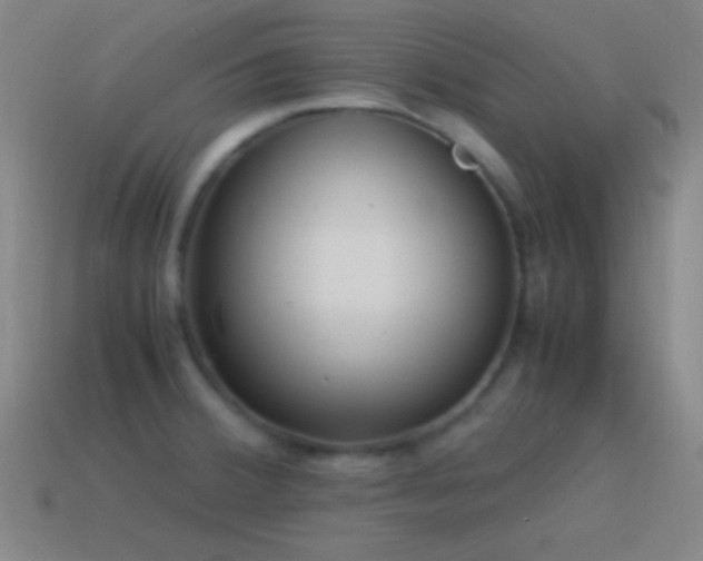 X0000115581380200911101139