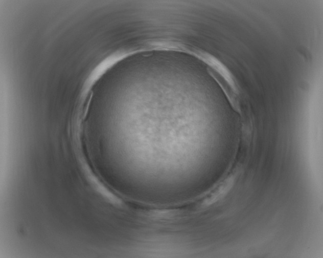 X0000115581381200911101139