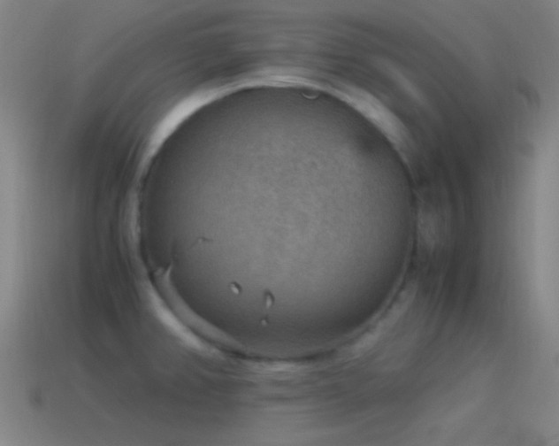 X0000115581382200911101139