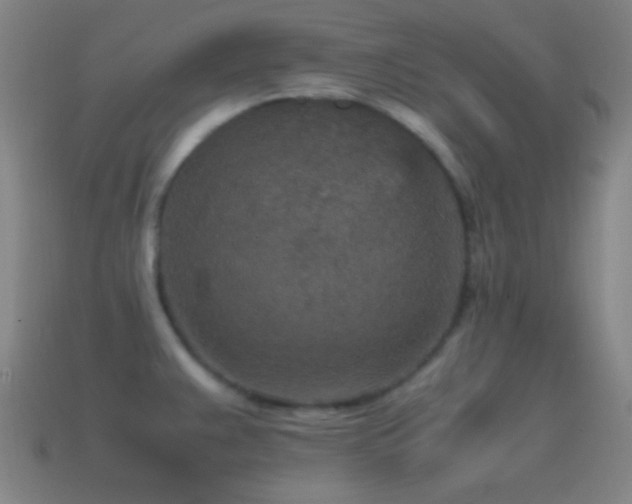 X0000115581383200911101139