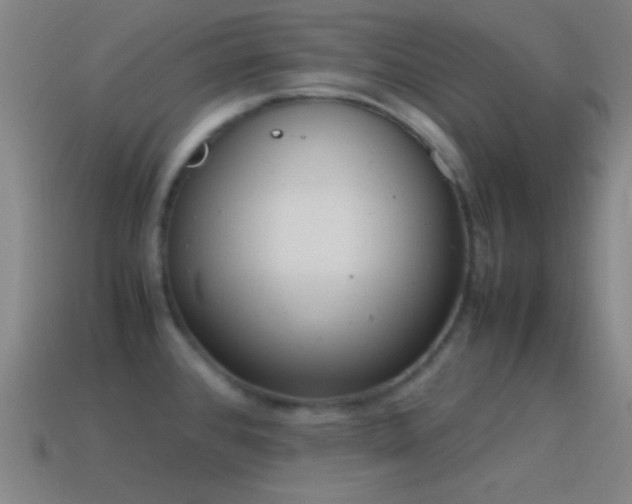 X0000115581384200911101139