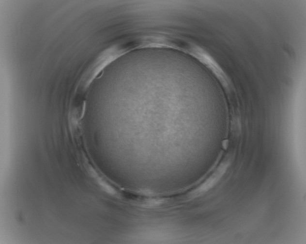 X0000115581385200911101139