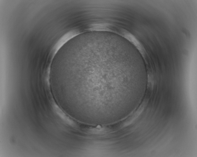 X0000115581386200911101139