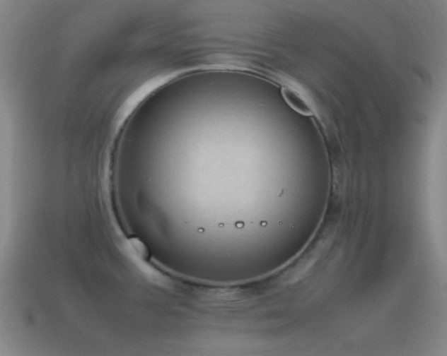 X0000115581387200911101139