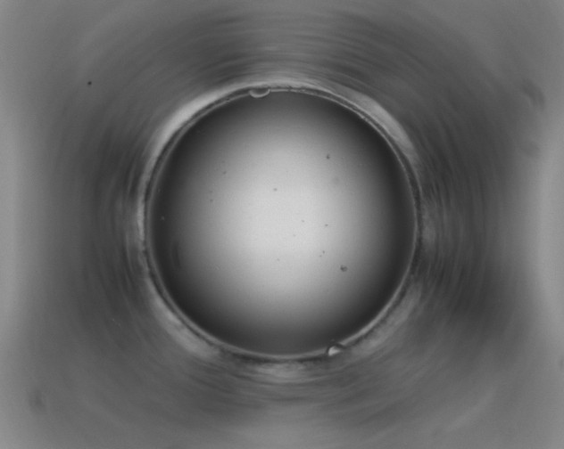 X0000115581388200911101139