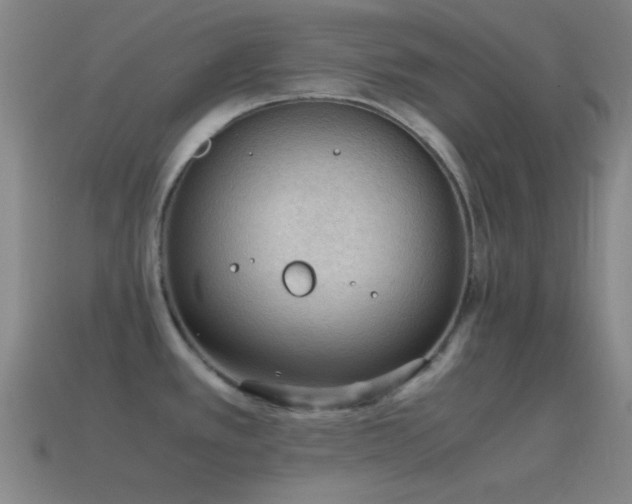 X0000115581389200911101139