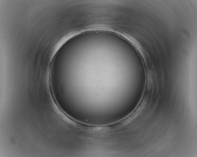 X0000115581390200911101139