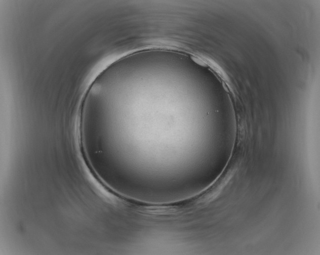 X0000115581391200911101139