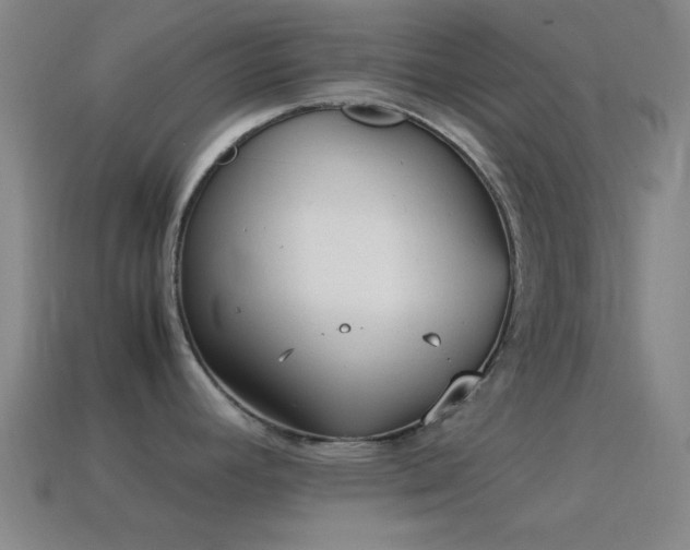 X0000115581392200911101139