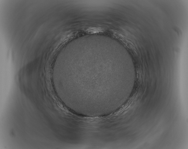 X0000115581393200911101138