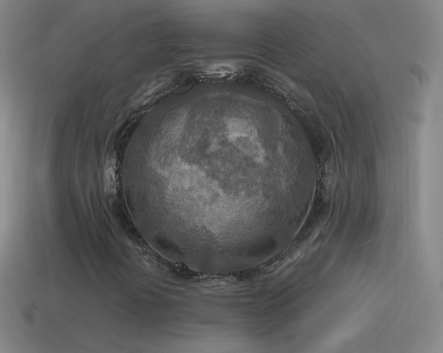 X0000115581394200911101138