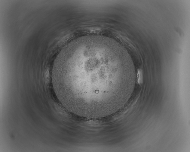 X0000115581395200911101138