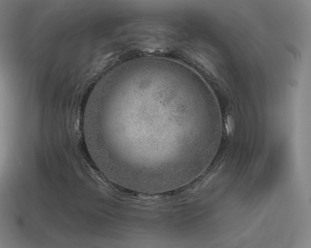 X0000115581396200911101138