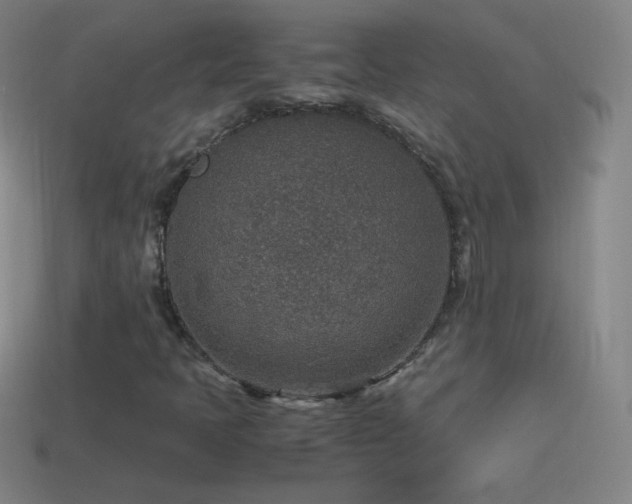 X0000115581397200911101138