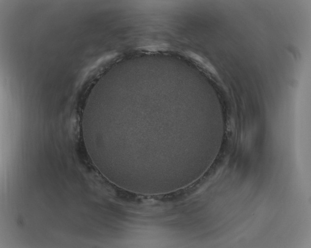 X0000115581398200911101138