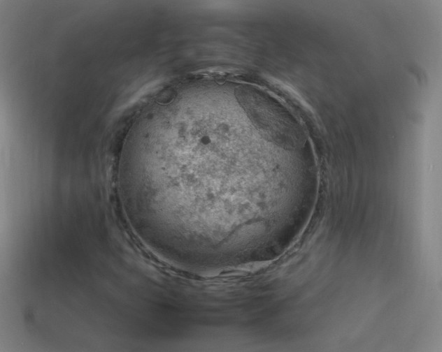 X0000115581399200911101138