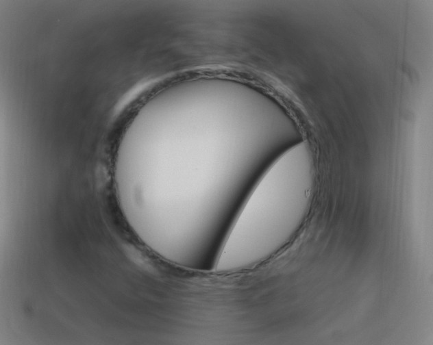 X0000115581400200911101138