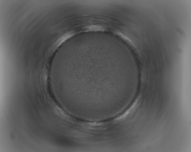 X0000115581401200911101138