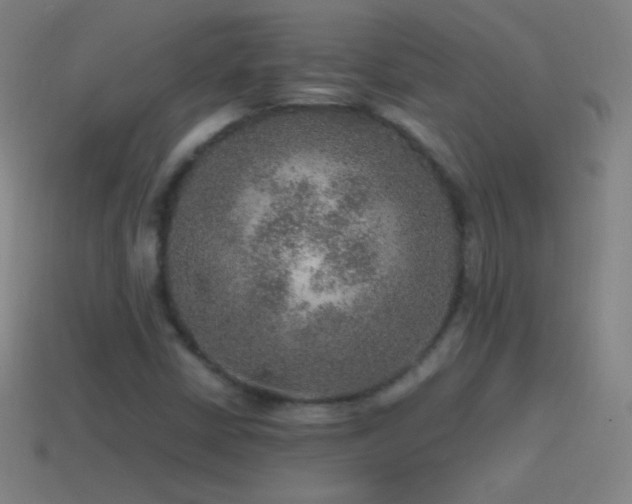 X0000115581402200911101138