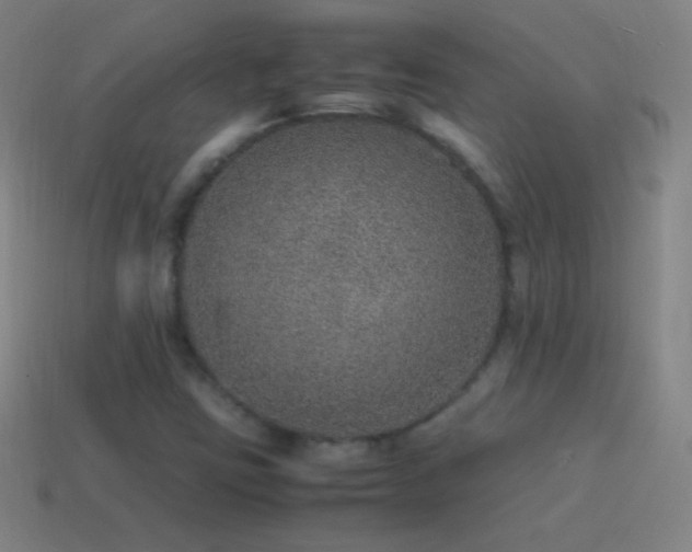 X0000115581403200911101138