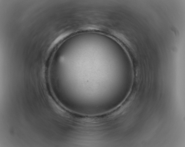 X0000115581404200911101138