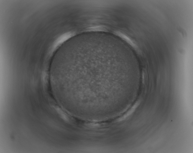 X0000115581405200911101138