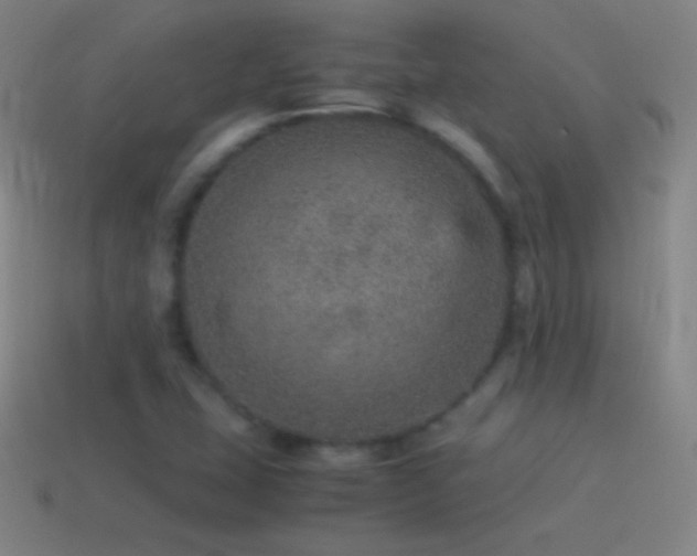 X0000115581407200911101138