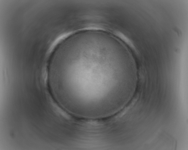 X0000115581408200911101138