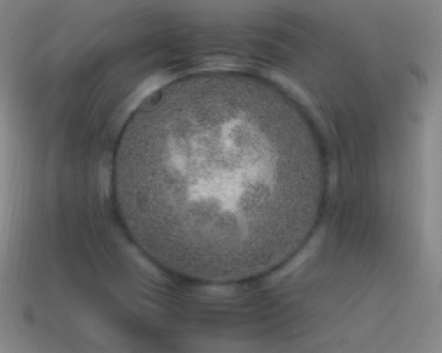 X0000115581409200911101138