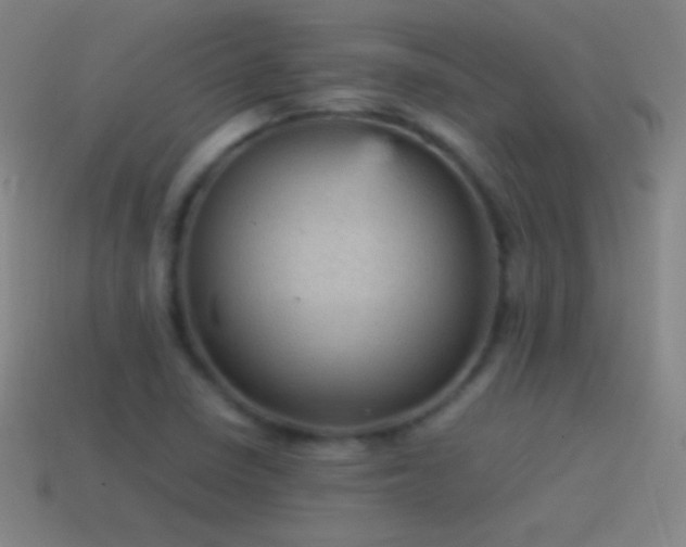 X0000115581410200911101138