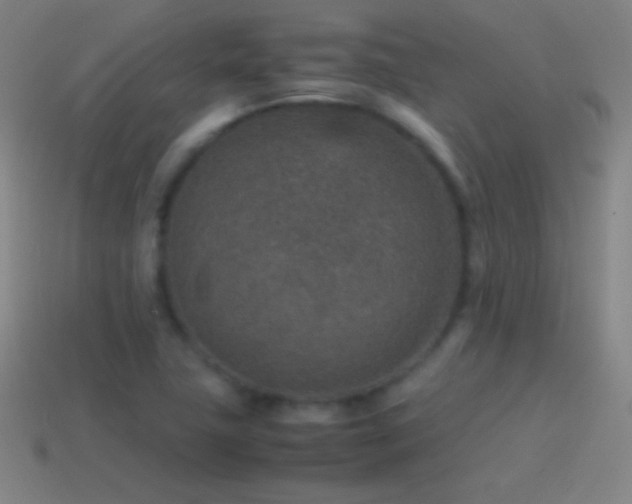 X0000115581411200911101138