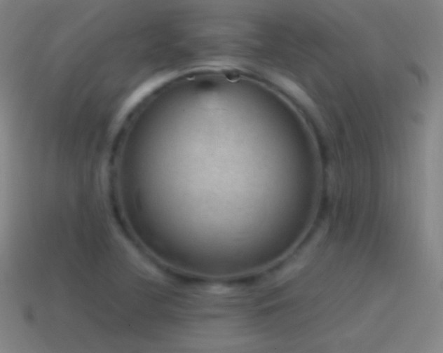 X0000115581412200911101138