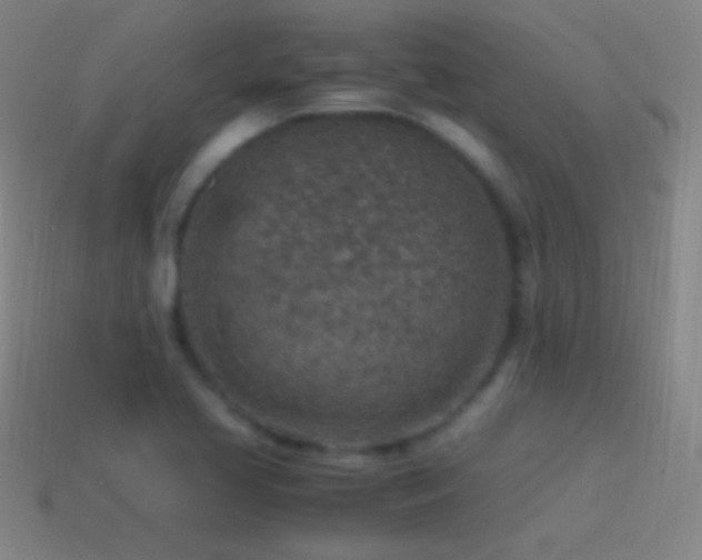 X0000115581413200911101138