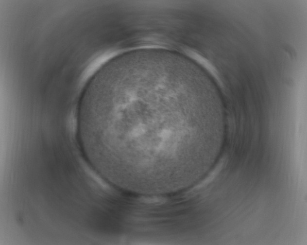 X0000115581415200911101138