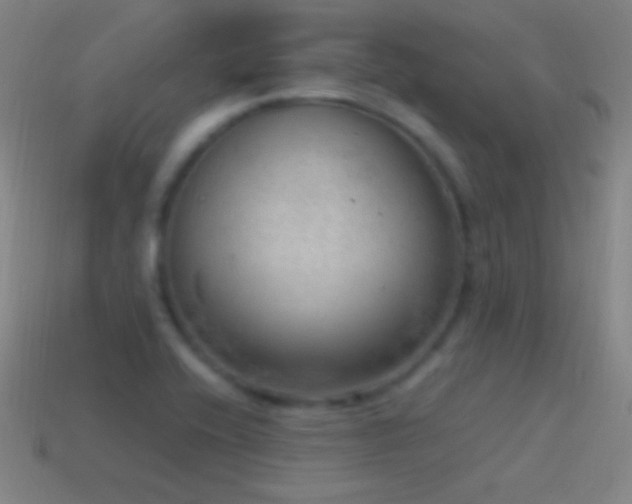 X0000115581416200911101138