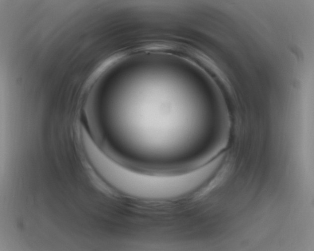 X0000115581417200911101138