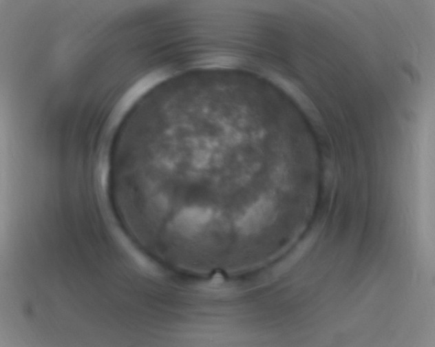 X0000115581418200911101138