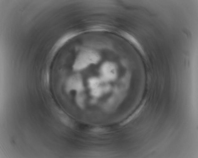 X0000115581419200911101138