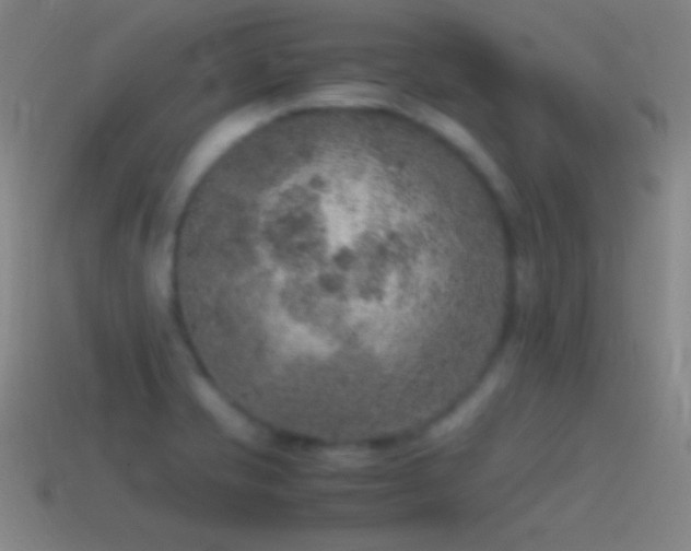 X0000115581421200911101138